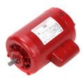 Product Image of 56Y Frame Armstrong Open Dripproof Hot Water Circulator Pump Motor (115/230V, 1725 RPM, 3/4 HP)