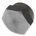 Product Image of 2" 3000# A105N Carbon Steel Hex Head Plug (NPT)