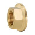 Product Image of 1-1/2" NPT Tail Piece for 548008A