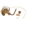 Product Image of 3.5T Thermal Expansion Valve, 340620-729