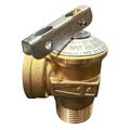 Product Image of 3/4" FWL-2F Pressure Relief Valve, Lead Free (150 PSI)
