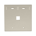 Product Image of Dual-Gang Quickport, Wallplate w/ ID Windows, 1-port (Ivory)