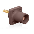 Product Image of 16 Series Male Panel Receptacle, Cam-Type, 90-Degree, Threaded Stud Length, 1.5", Taper Nose, 400A Max, Cable Range, #2 to 4/0 AWG (Brown)