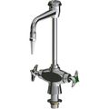Product Image of Manual Laboratory Sink Faucet (Polished Chrome), 930-VRCP