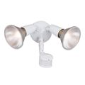 Product Image of HALO Twin-Head Flood for PAR38 with Motion (White)
