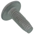 Truss Screw, CP-30580