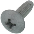 Product Image of Truss Screw, CP-30580