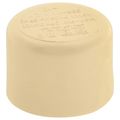 Product Image of 1/2" CTS CPVC Cap (Socket)