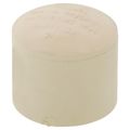 Product Image of 3/4" CTS CPVC Cap (Socket)