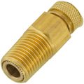 Product Image of 1/4" NPT Brass Test Plug with Nordel Core