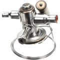 Product Image of Therm Exp, with O Mop, R290, 3516661