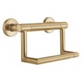 Product Image of BathSafety Contemporary Toilet Paper Holder w/ Assist Bar (Champagne Bronze), 41550-CZ