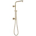 Product Image of Emerge 18" Round Shower Column (Lumicoat Champagne Bronze), 58810-CZ-PR