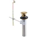 Product Image of Zura Metal Drain Assembly, Less Lift Rod, Bathroom (Champagne Bronze), RP26533CZ