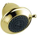 Product Image of Premium 3-Setting Shower Head (Polished Brass), RP43381PB