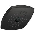 Product Image of Raincan Single-Setting Touch-Clean Shower Head (Matte Black), RP64859BL