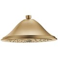 Product Image of RP72568CZ Single-Setting Raincan Shower Head (Champagne Bronze)