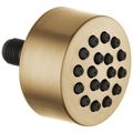 Product Image of HydraChoice Body Spray, Spray Head (Champagne Bronze), SH5000-CZ