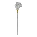 Product Image of Weatherproof Immersion Temperature Transmitter (4" Probe)