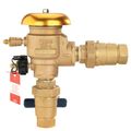 Product Image of 1" U765-QT-FZ Pressure Vacuum Breaker w/ Union Connections and Freeze Sensor