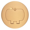 Product Image of Two-Door Cover for Round Floor Boxes, for Use with Duplex Devices (Brass)