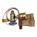 Product Image of Expansion Valve 3Ft Cap, EA36UZ031