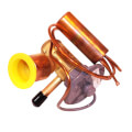 Product Image of TXV Valve, EA36UZ122