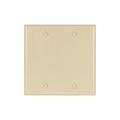 Product Image of Blank Wallplate, Ivory, Blank Cutout, Thermoset, Two- Gang, Standard, Ed Box, 2137V-BOX