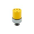 Product Image of Straight Blade Connector, #18-10 Awg 15A, 250V, Armored Vinyl, Pvc, 6-15R, 2-Pole 3-Wire, Vinyl, 2227-BOX