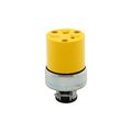 Product Image of Straight Blade Connector, #18-10 Awg 20A, 250V, Armored Vinyl, Pvc, 6-20R, 2-Pole 3-Wire, Vinyl, 2229-BOX
