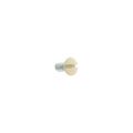 Product Image of Polycarbonate Wallplate Screws, Ivory, Metal, #6-32 X 5/16", 2231V-BOX
