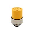 Product Image of Safety Grip Locking Connector, Stand-Alone Box, #14-8 Awg, 20A, 250V, BackWiring, 2-Pole 3-Wire, 2354-BOX