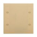 Product Image of Blank Wallplate, 10% Deeper Than Standard Size, Ivory, Blank Cutout, Thermoset, 2-Gang, 4137V-BOX