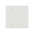 Product Image of Blank Wallplate, 10% Deeper Than Standard Size, White, Blank Cutout, Thermoset, 2-Gang, 4137W-BOX