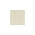Product Image of Blank Wallplate, Almond, Blank Cutout, Nylon, Two- Gang, Standard, 5137A