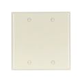Product Image of Blank Wallplate, Lt. Almond, Blank Cutout, Nylon, Two- Gang, Standard, 5137LA