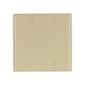 Product Image of Blank Wallplate, Ivory, Blank Cutout, Nylon, Two- Gang, Standard, Ed Box, 5137V-BOX