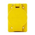 Product Image of Arrow Hart Watertight Straight Blade Single Receptacle, #18-10 Awg 15A, Panel, 250V, 60W49