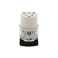 Product Image of Arrow Hart Safety Grip Straight Blade Connector, #14-10 Awg 15A 125V, Clear, 2-Pole, 8269