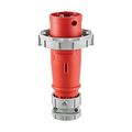 Product Image of Arrow Hart Pin & Sleeve Plug, #10-#2 Awg 30A, 480V, Red, Ip69K, 2-Pole 3-Wire, Male, AH330P7W