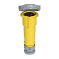 Product Image of Arrow Hart Pin & Sleeve Connector, #10-#2 Awg 32A, 110-130V, Ip69K, 2-Pole 3-Wire, Female, AH332C4W