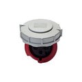 Product Image of Arrow Hart Pin & Sleeve Connector, #10-#2 Awg 32A, 380V, 50Hz, 44V, 60Hz, Red, 3-Pole, Female, AH432C3W