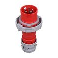 Product Image of Arrow Hart Pin & Sleeve Plug, #10-#2 Awg 30A, Y 277/480V, Red, 4-Pole, 5-Wire, Male, 10 Hp, 3Ph, AH530P7W