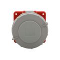 Product Image of Arrow Hart Pin & Sleeve Receptacle, Ip69K Rated, 30/32A 200-415V, 4-Pole, #10 -#2 Awg, 5 Wire, AH530R6WDR