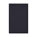 Product Image of Blank Wallplate, Box Mount, Black, Blank Cutout, Polycarbonate, Single- Gang, Mid-Size, PJ13BK