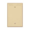 Product Image of Blank Wallplate, Box Mount, Ivory, Blank Cutout, Polycarbonate, Single- Gang, Mid-Size, PJ13V