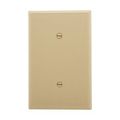 Product Image of Blank Wallplate, Strap Mount, Ivory, Blank Cutout, Polycarbonate, Single- Gang, Mid-Size, PJ14V