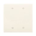 Product Image of Blank Wallplate, Box Mount, Almond, Blank Cutout, Polycarbonate, Two- Gang, Mid-Size, PJ23A