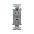 Product Image of Arrow Hart Heavy-Duty Duplex Receptacle, #14-10 Awg 15A, Healthcare 125V, Gray, Pvc Body, Duplex, TR8200GY