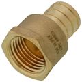 Product Image of 3/4" PEX x 1/2" NPT Brass Female Adapter (Lead Free)